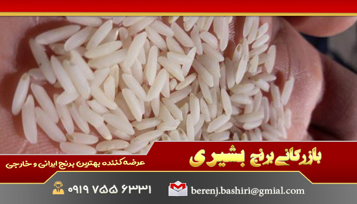 قیمت برنج شمال به روز