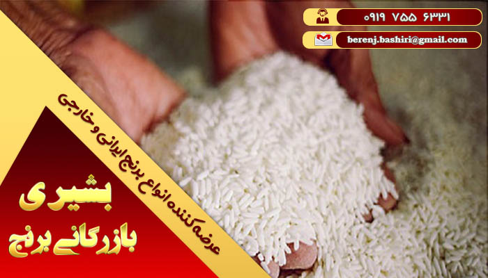 قیمت برنج شمال به روز | فروش اینترنتی برنج درجه یک
