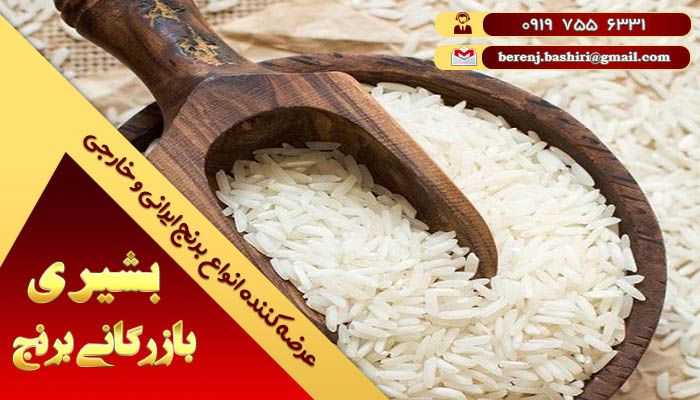 برنج پرمحصول ایرانی | قیمت و فروش عمده برنج ایرانی